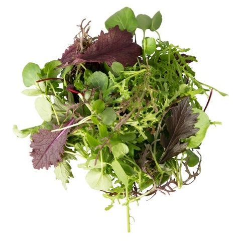 Forage Mustard Leaves Mix